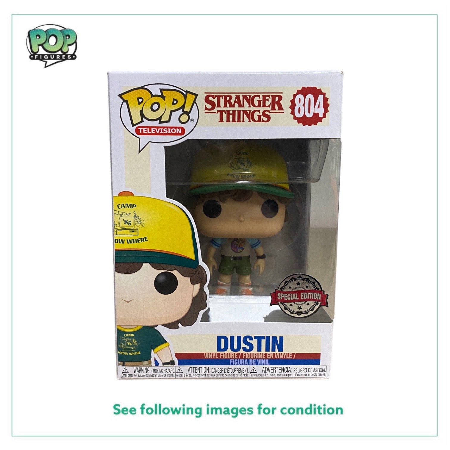Dustin #804 (Camp, Gray) Funko Pop! - Stranger Things - Special Edition - Condition 8.5/10